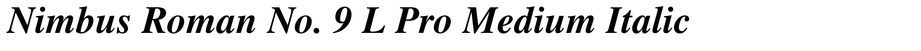 Nimbus Roman No. 9 L Pro Medium Italic